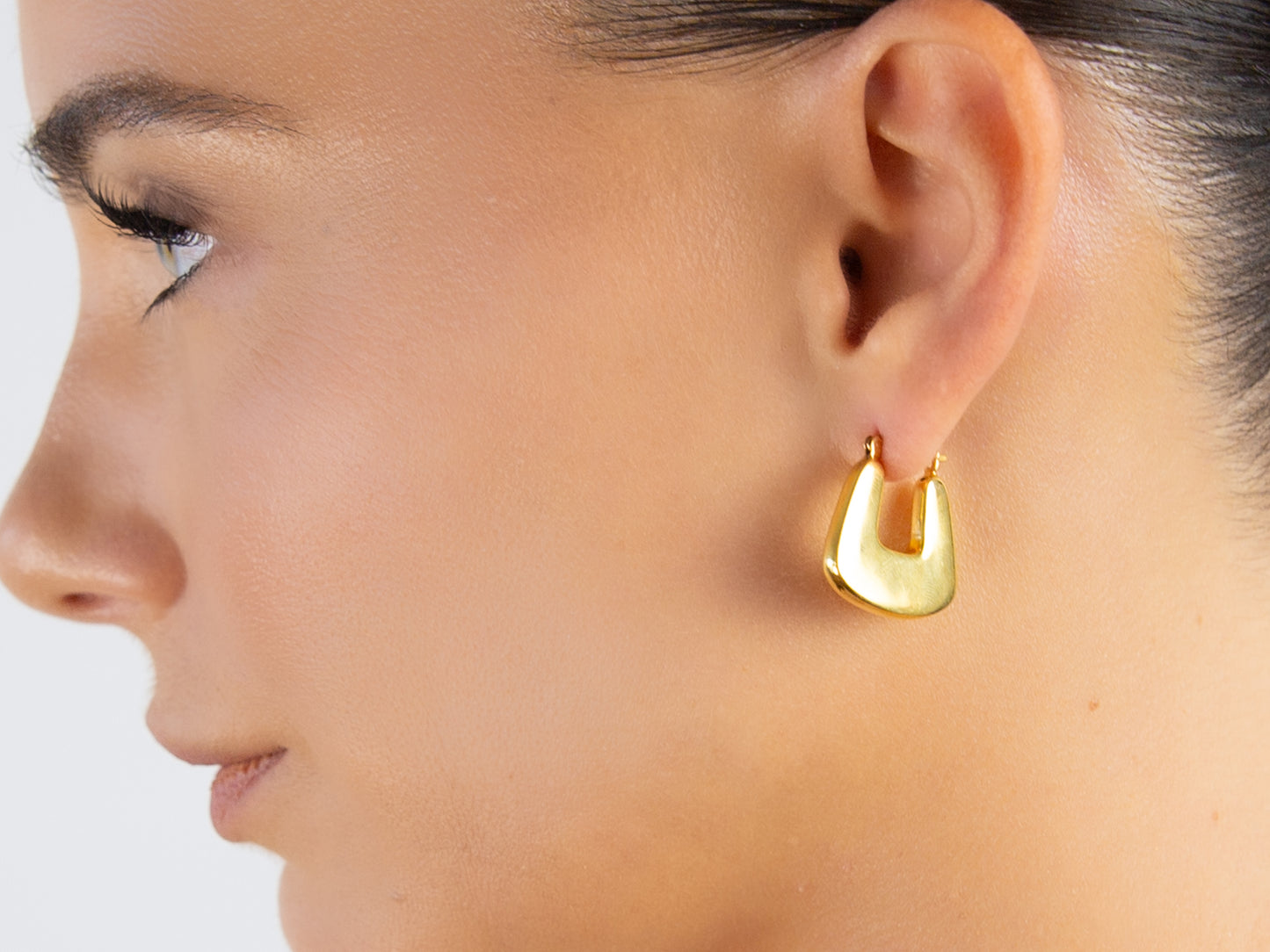 Chunky Rectangle Hoops