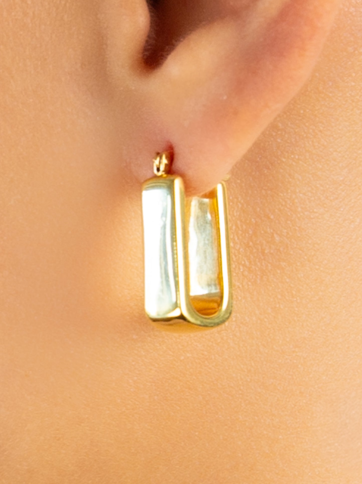 Long Chunky Rectangle Hoops