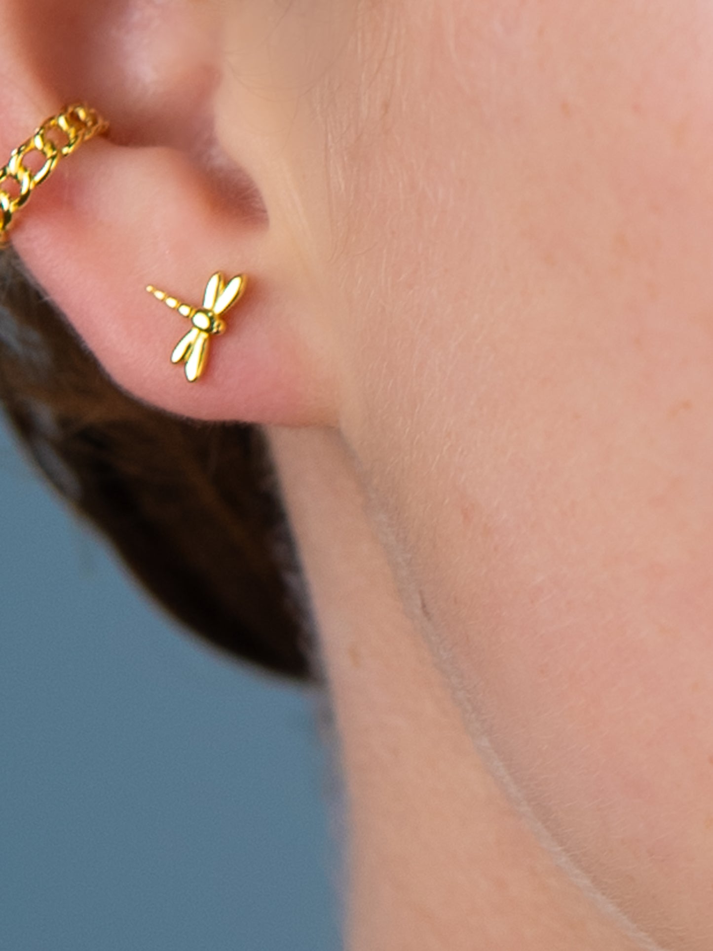 Dragonfly Studs