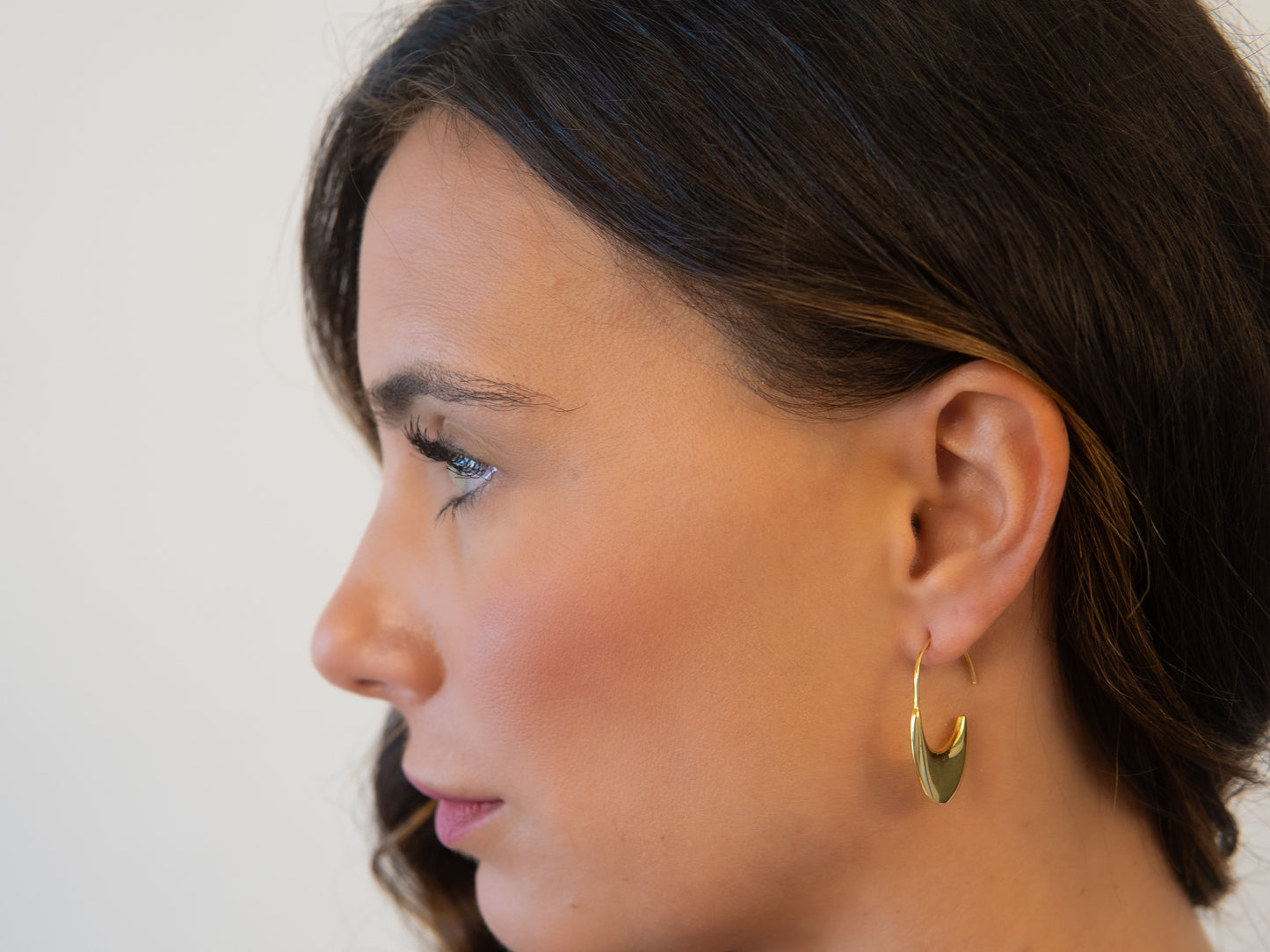 Padlock Wire Hoops