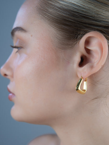 Rectangle Thick Hoops